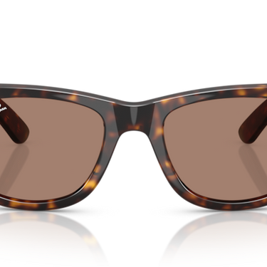 Ray-Ban Mega Wayfarer RB0840S 902/1A Havana
