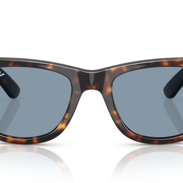 Ray-Ban Mega Wayfarer RB0840S 902/56 Havana