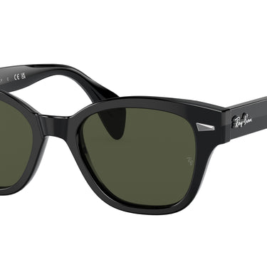 Ray-Ban RB0880S 901/31 Zwart