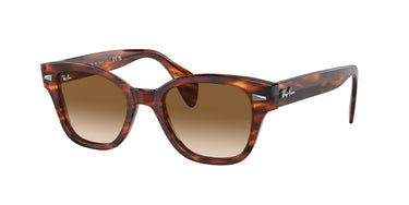 Ray-Ban RB0880S 954/51 Havana Gestreept