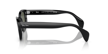 Ray-Ban RB0880S 901/31 - Zwart