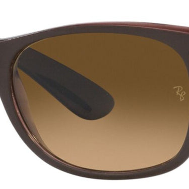 Ray-Ban Wayfarer RB2132 6608M2 Transparant Bruin