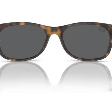 Ray-Ban Wayfarer RB2132 865/B1 Havana