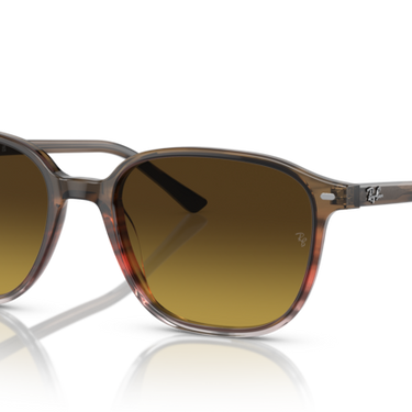 Ray-Ban Leonard RB2193 138085 Gestreept bruin en rood