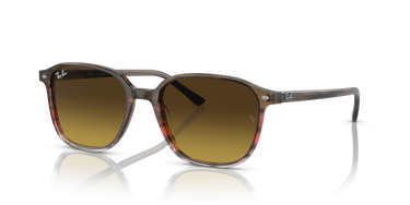 Ray-Ban Leonard RB2193 138085 Gestreept bruin en rood