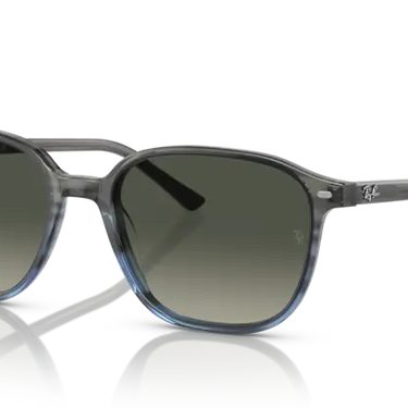 Ray-Ban Leonard RB2193 138171 Gestreept grijs en blauw