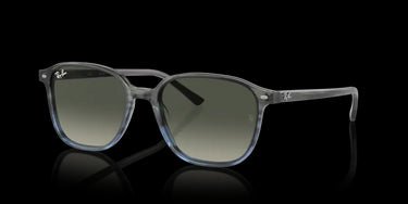 Ray-Ban Leonard RB2193 138171 Gestreept grijs en blauw