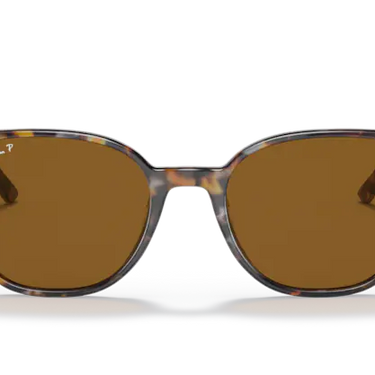 Ray-Ban Elliot RB2197 135757 Havana Brown Grey