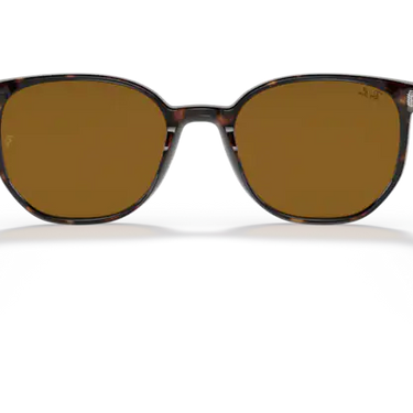 Ray-Ban Elliot RB2197 902/33 Havana