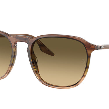 Ray-Ban RB2203 13920A Gestreept bruin en groen