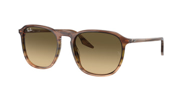 Ray-Ban RB2203 13920A Gestreept bruin en groen