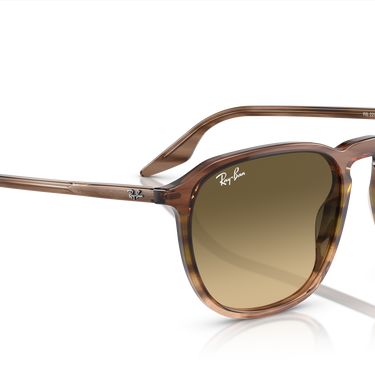 Ray-Ban RB2203 13920A Gestreept bruin en groen