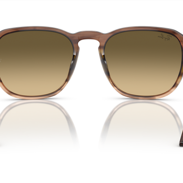 Ray-Ban RB2203 13920A Gestreept bruin en groen