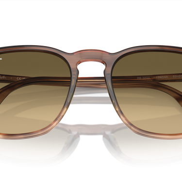 Ray-Ban RB2203 13920A Gestreept bruin en groen