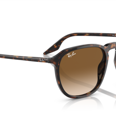Ray-Ban RB2203 902/51 Havana