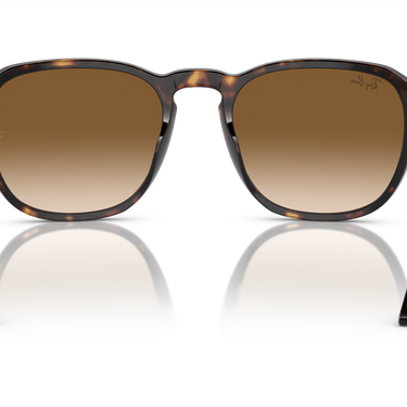 Ray-Ban RB2203 902/51 Havana