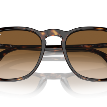 Ray-Ban RB2203 902/51 Havana