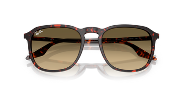 Ray-Ban RB2203 14290A Havana Rood