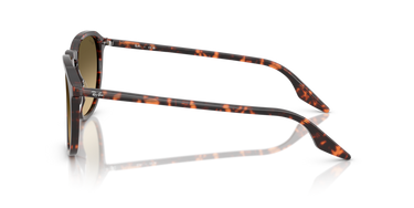 Ray-Ban RB2203 14290A Havana Rood