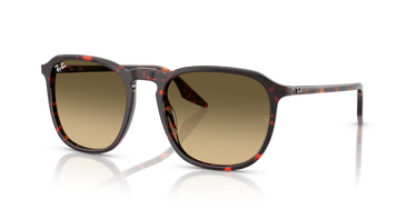 Ray-Ban RB2203 14290A Havana Rood