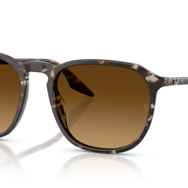 Ray-Ban RB2203 143185 Havana Geel
