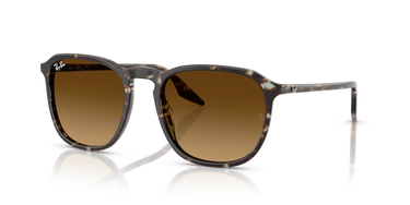 Ray-Ban RB2203 143185 Havana Geel