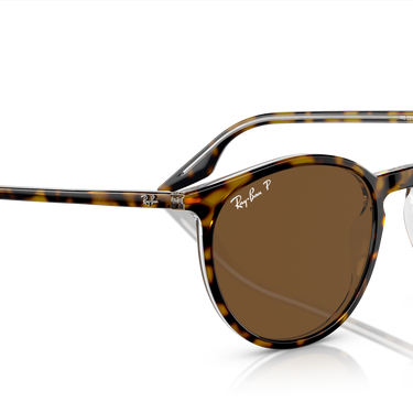 Ray-Ban RB2204 139357 Havana op transparant