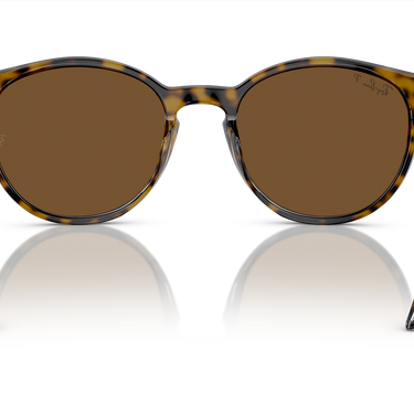 Ray-Ban RB2204 139357 Havana op transparant
