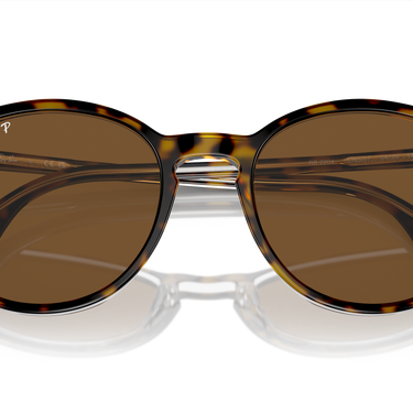 Ray-Ban RB2204 139357 Havana op transparant