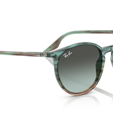 Ray-Ban RB2204 1394GK Gestreept blauw en groen