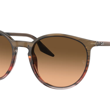 Ray-Ban RB2204 13953B Gestreept bruin en rood