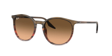 Ray-Ban RB2204 13953B Gestreept bruin en rood