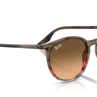 Ray-Ban RB2204 13953B Gestreept bruin en rood