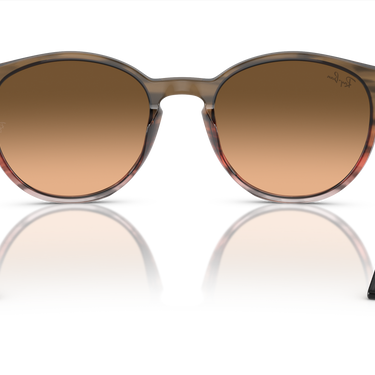 Ray-Ban RB2204 13953B Gestreept bruin en rood