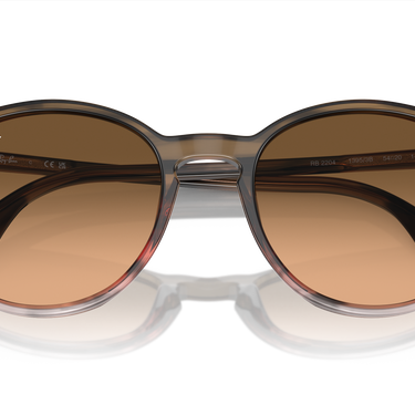 Ray-Ban RB2204 13953B Gestreept bruin en rood