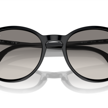 Ray-Ban RB2204 901/32 Zwart