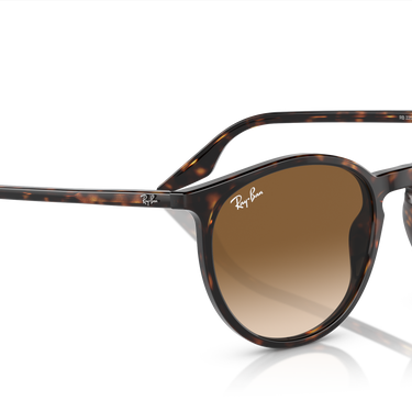 Ray-Ban RB2204 902/51 Havana