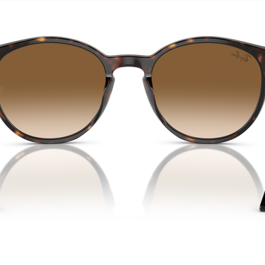 Ray-Ban RB2204 902/51 Havana