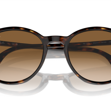 Ray-Ban RB2204 902/51 Havana