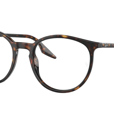 Ray-Ban RB2204 902/GJ Havana