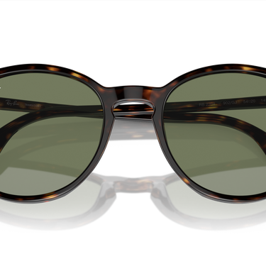 Ray-Ban RB2204 902/GJ Havana