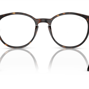 Ray-Ban RB2204 902/GJ Havana