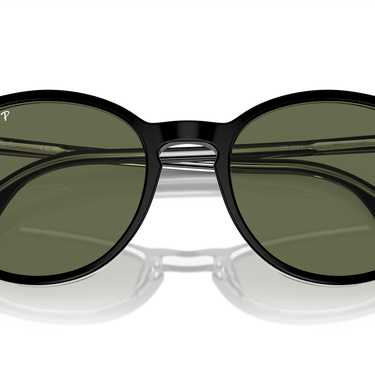 Ray-Ban RB2204 919/58 Zwart op transparant
