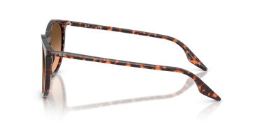 Ray-Ban Round RB2204 14293B Havana Rood