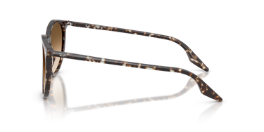 Ray-Ban Round RB2204 143151 Havana Geel