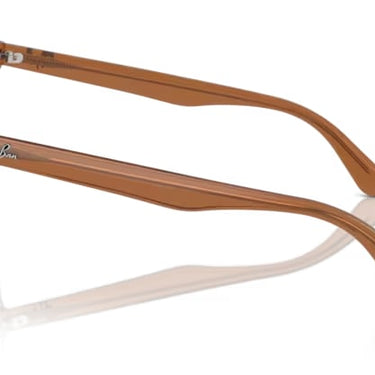 Ray-Ban RB2206D 663673 Transparant Bruin
