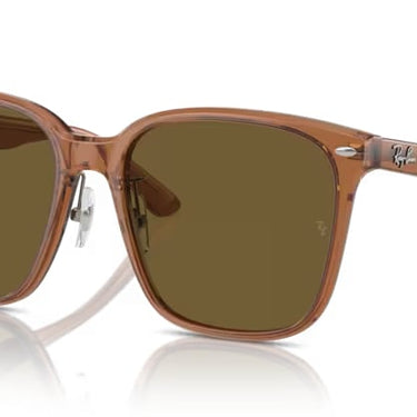 Ray-Ban RB2206D 663673 Transparant Bruin