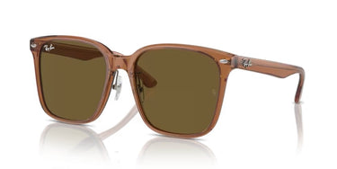 Ray-Ban RB2206D 663673 Transparant Bruin