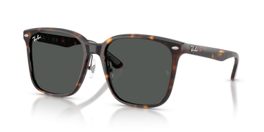 Ray-Ban RB2206D 710/87 Havana