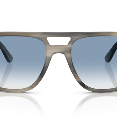 Ray-Ban RB2213 14243F Grijs Havana
